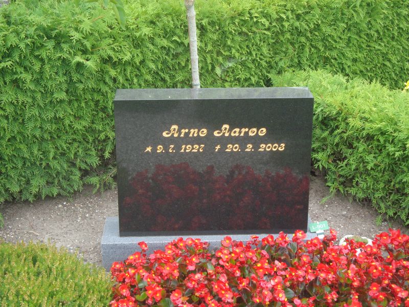 Arne Aaroee.JPG